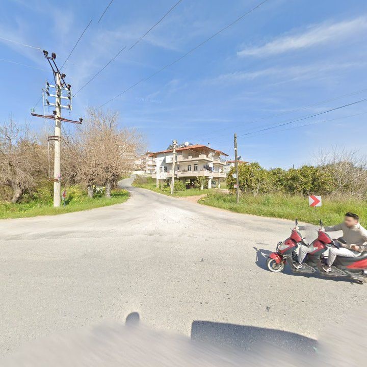 Fotoğraf 6