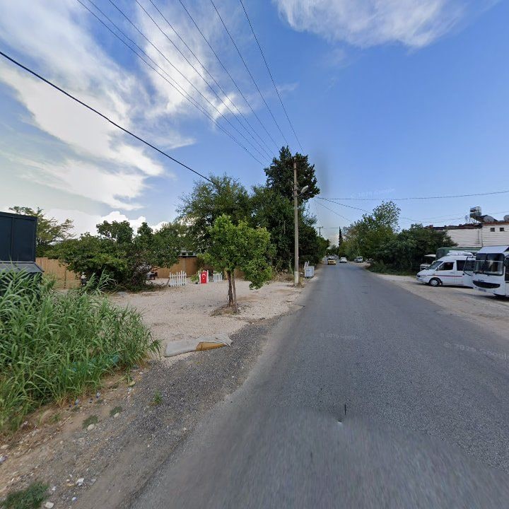 Fotoğraf 9