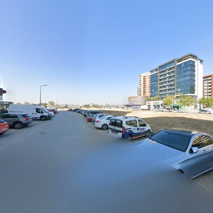Fotoğraf 11