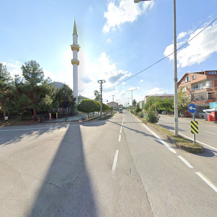 Fotoğraf 7