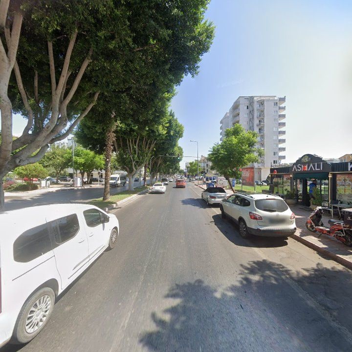 Fotoğraf 8