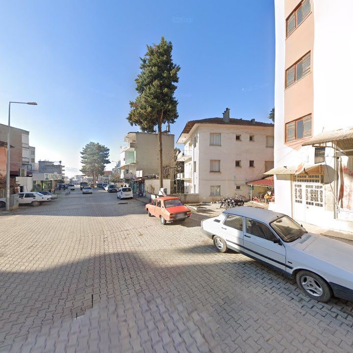 Fotoğraf 5