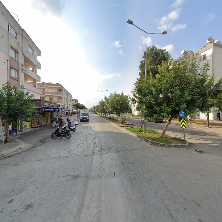 Fotoğraf 9
