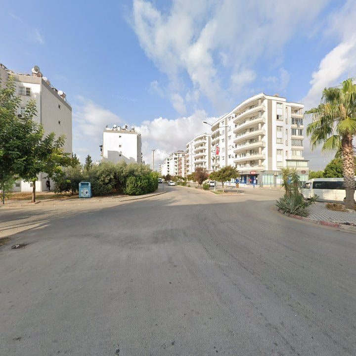 Fotoğraf 10