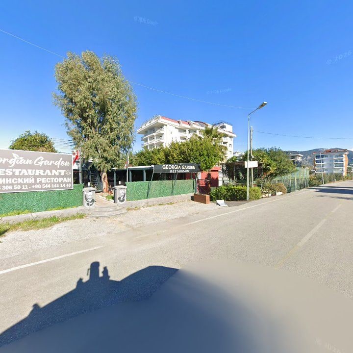 Fotoğraf 8