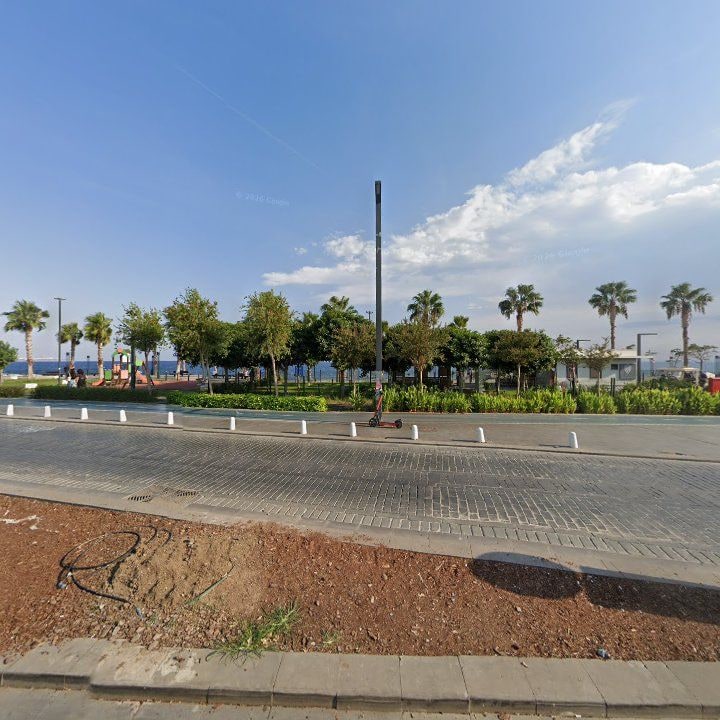 Fotoğraf 8