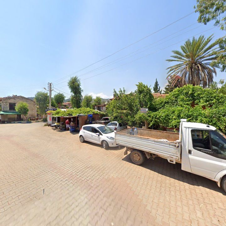 Fotoğraf 10
