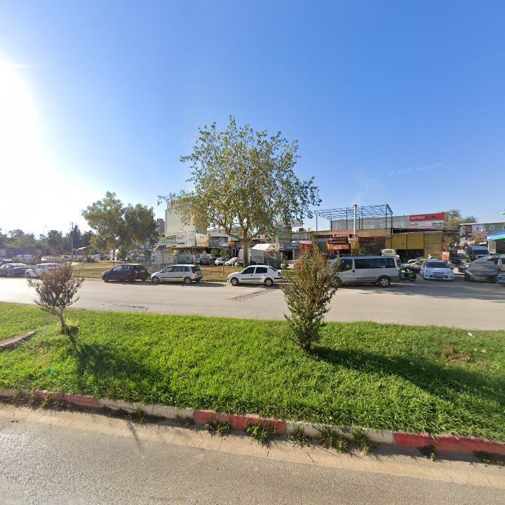 Fotoğraf 7