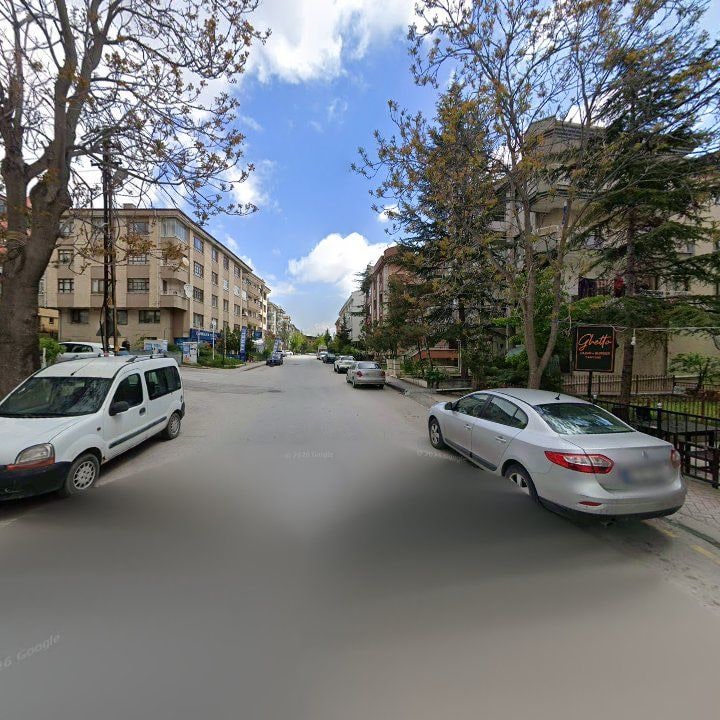 Fotoğraf 10