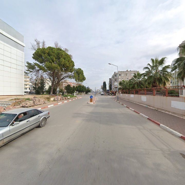 Fotoğraf 10