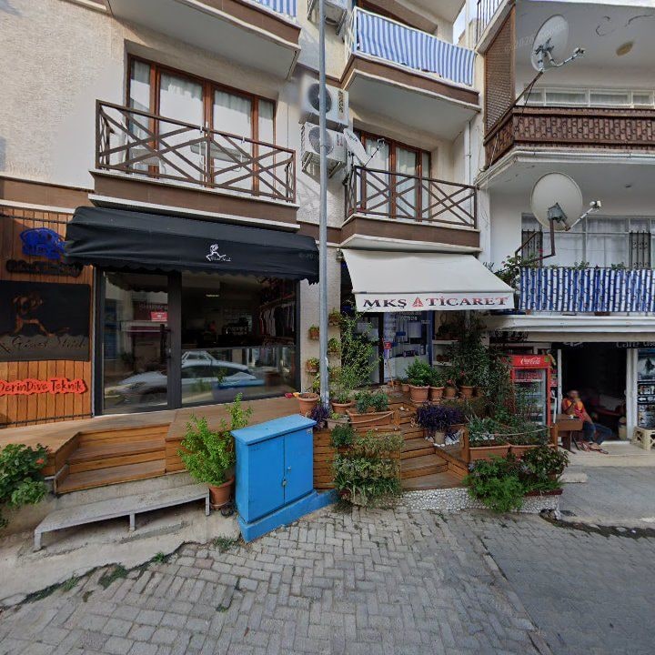 Fotoğraf 13