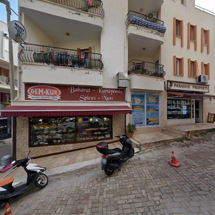 Fotoğraf 15