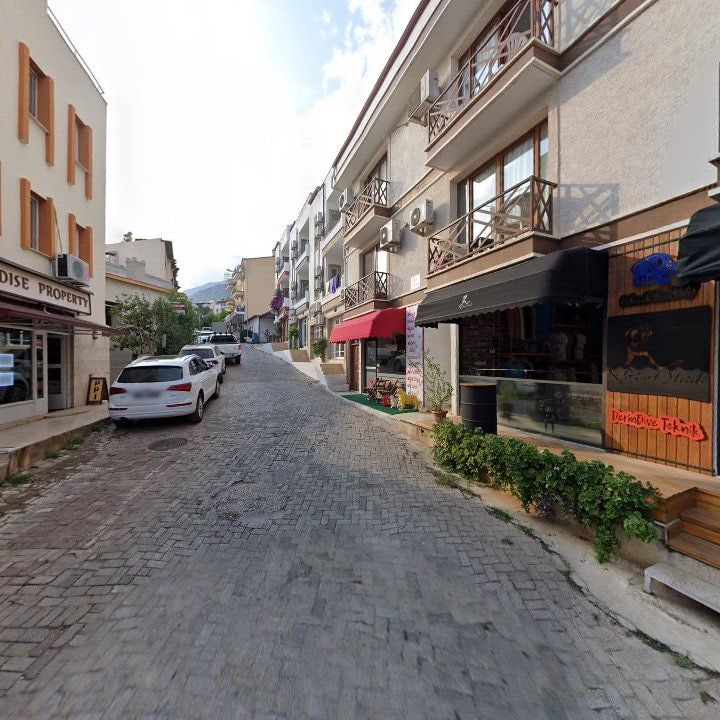 Fotoğraf 16