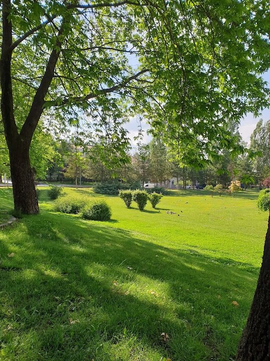 Gıda Tarım Ve Hayvancılık Bakanlığı Çay Bahçesi