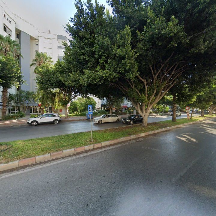 Fotoğraf 13