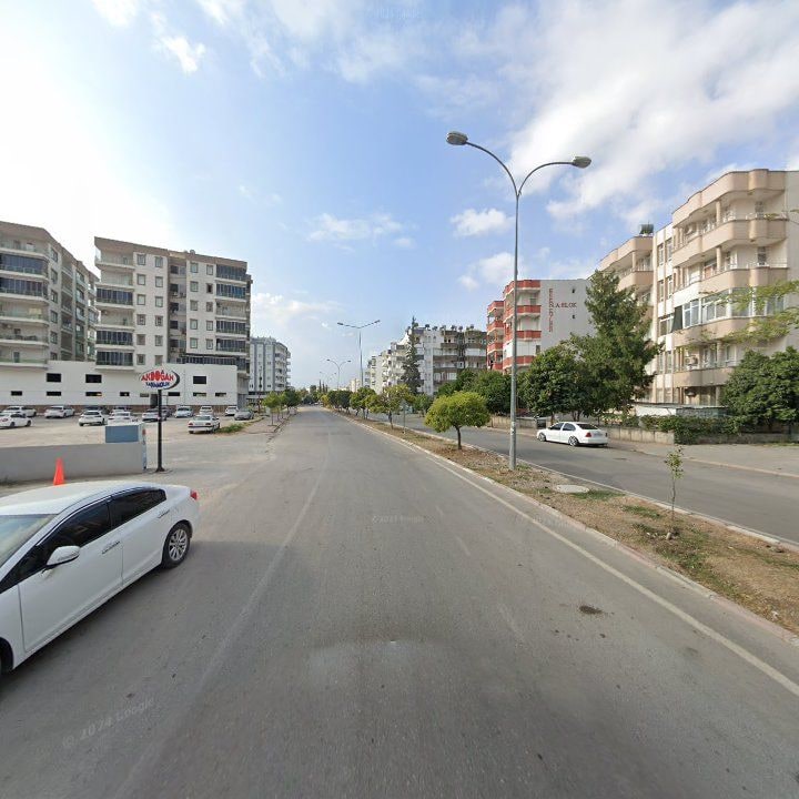 Fotoğraf 6