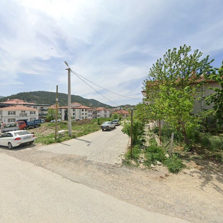 Fotoğraf 8