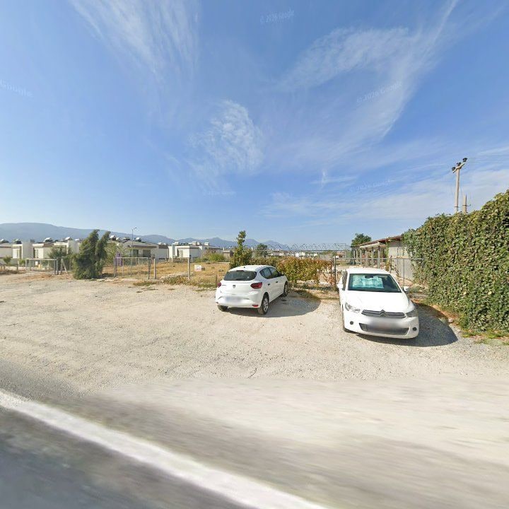 Fotoğraf 7