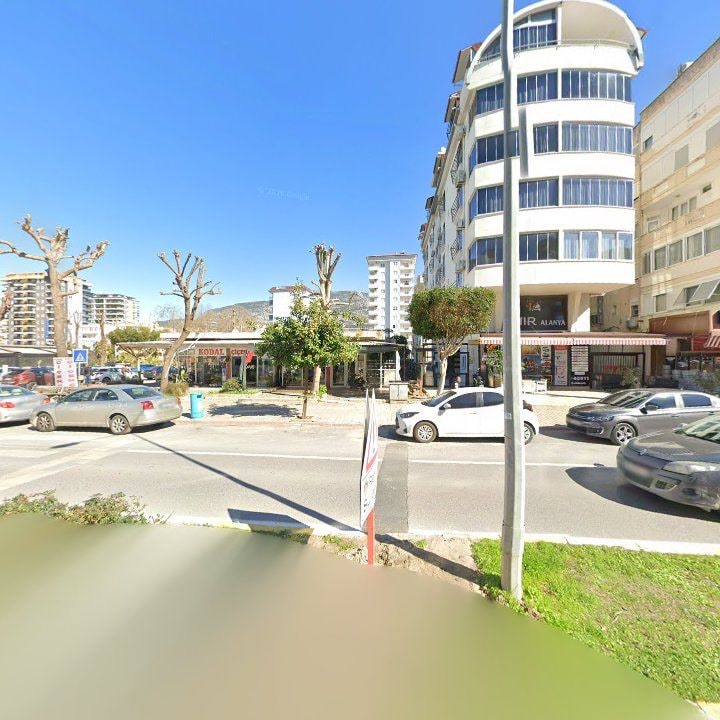 Fotoğraf 10