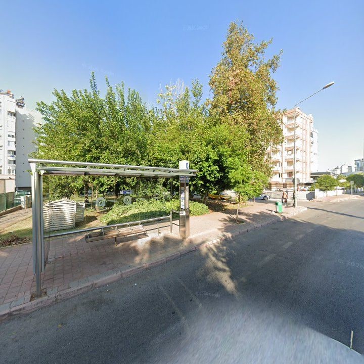Fotoğraf 10