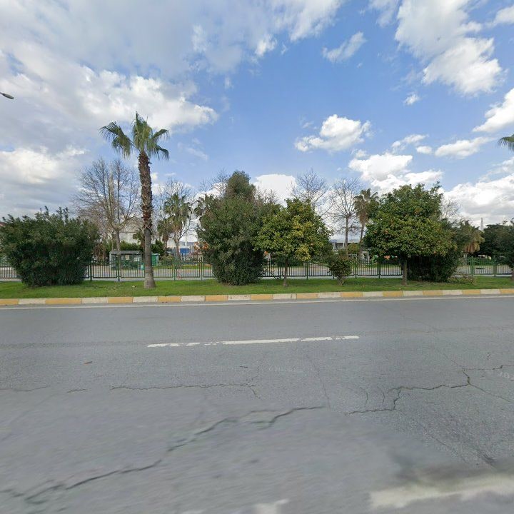 Fotoğraf 8