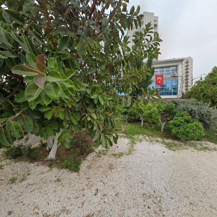 Fotoğraf 4