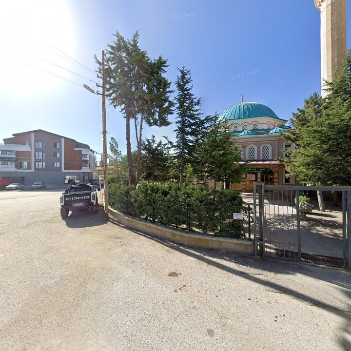 Fotoğraf 9