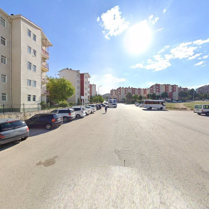 Fotoğraf 10