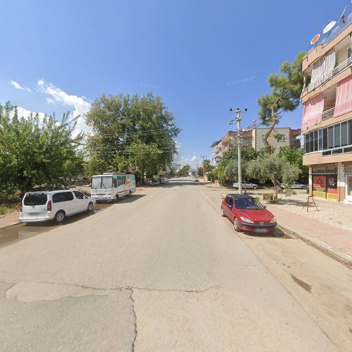 Fotoğraf 7