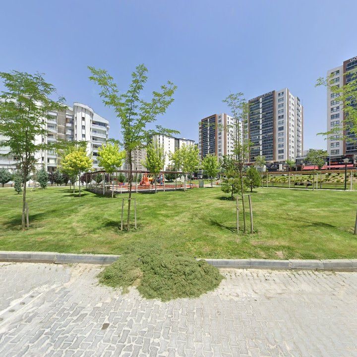 Fotoğraf 10