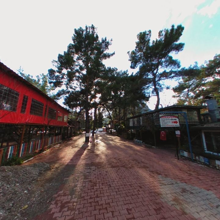 Fotoğraf 9