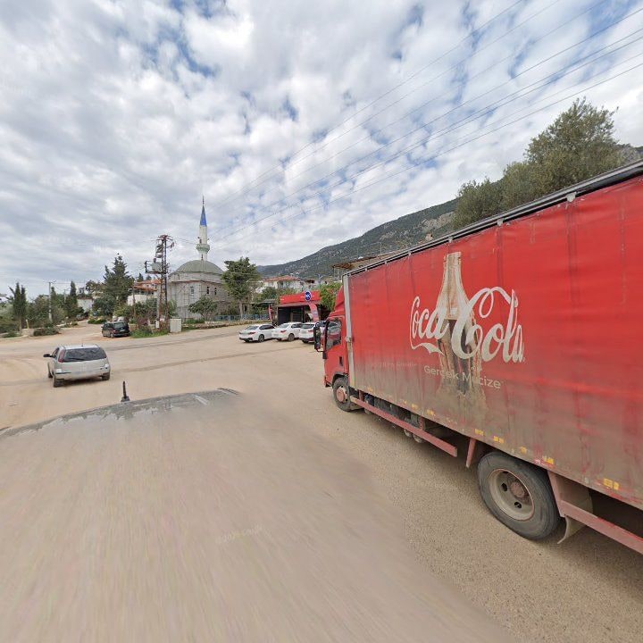 Fotoğraf 11
