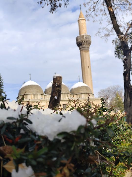 Fotoğraf 2