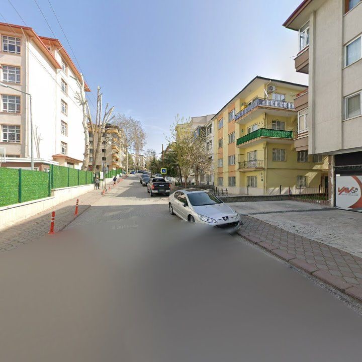 Fotoğraf 9