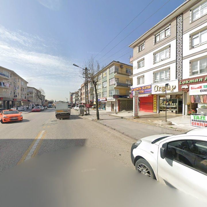 Fotoğraf 7