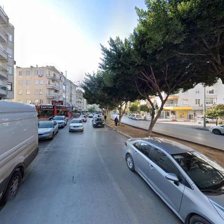 Fotoğraf 10