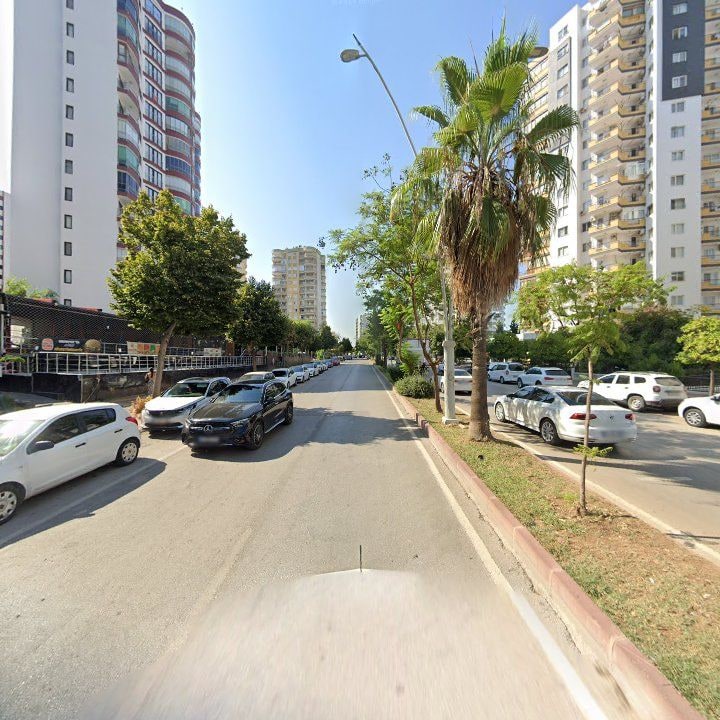 Fotoğraf 7