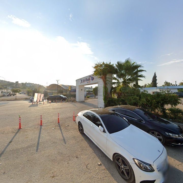 Fotoğraf 10
