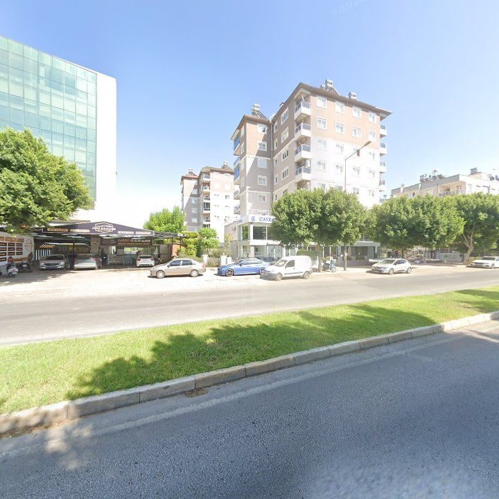 Fotoğraf 12