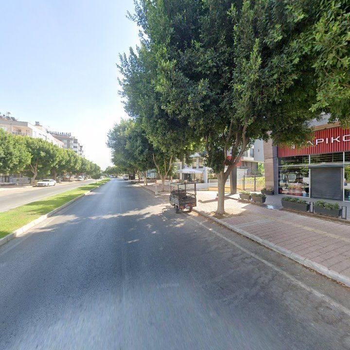 Fotoğraf 9
