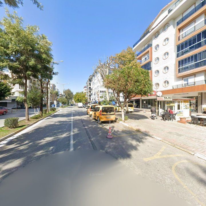 Fotoğraf 11