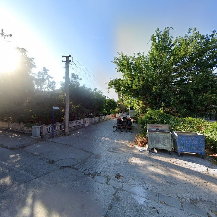 Fotoğraf 9