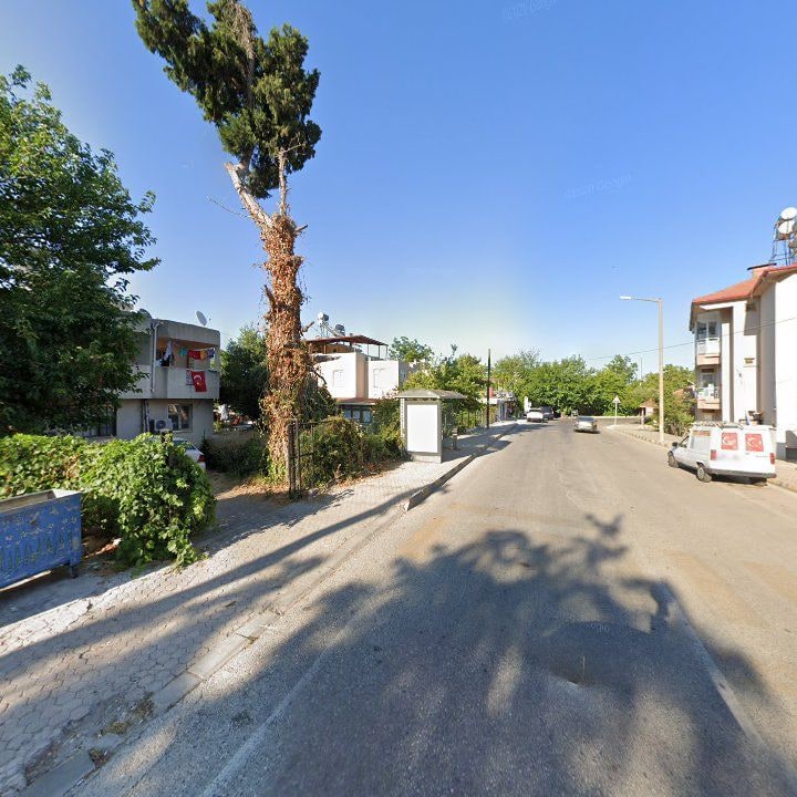 Fotoğraf 10