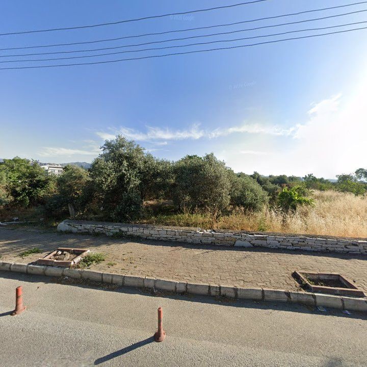 Fotoğraf 11