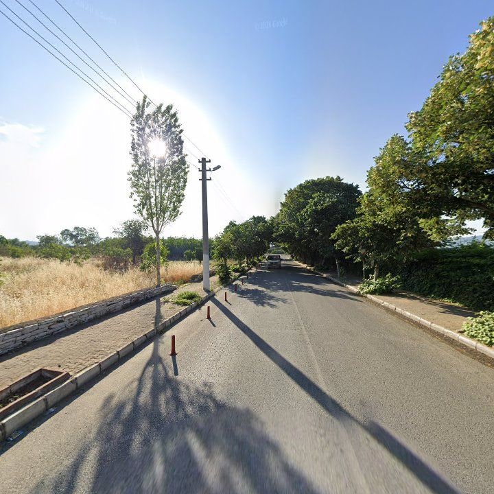 Fotoğraf 12