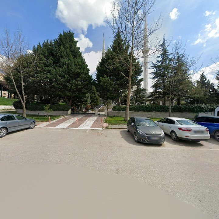 Fotoğraf 7