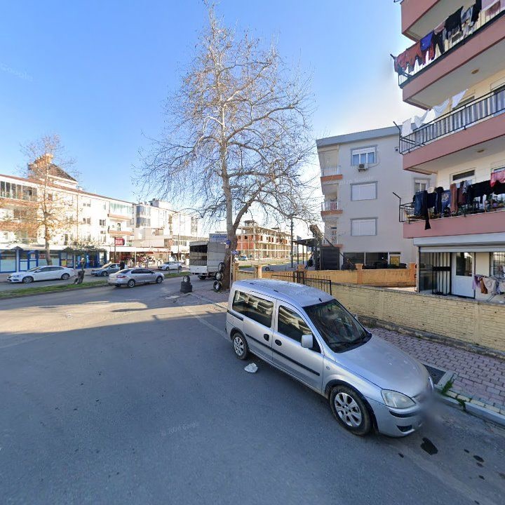 Fotoğraf 7