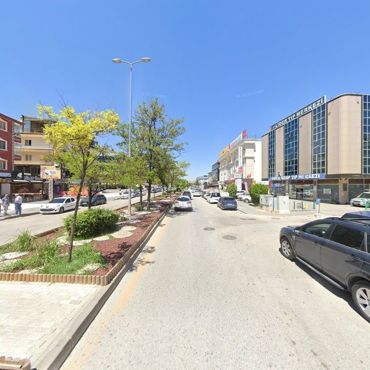Fotoğraf 11