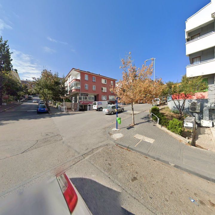 Fotoğraf 13