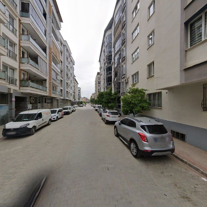 Fotoğraf 3